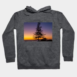 Namibia. Swakopmund. Tree. Sunset. Hoodie